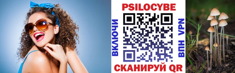 Псилоцибиновые грибы MAGIC MUSHROOMS  Петровск 